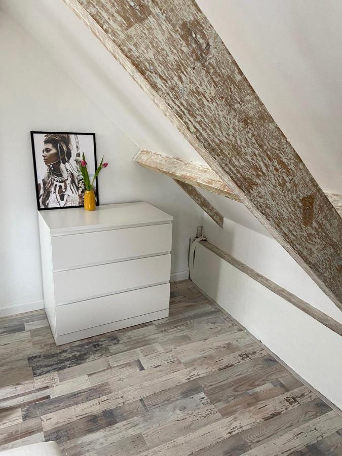 Zilvermeeuw Bergen aan Zee Esterno foto