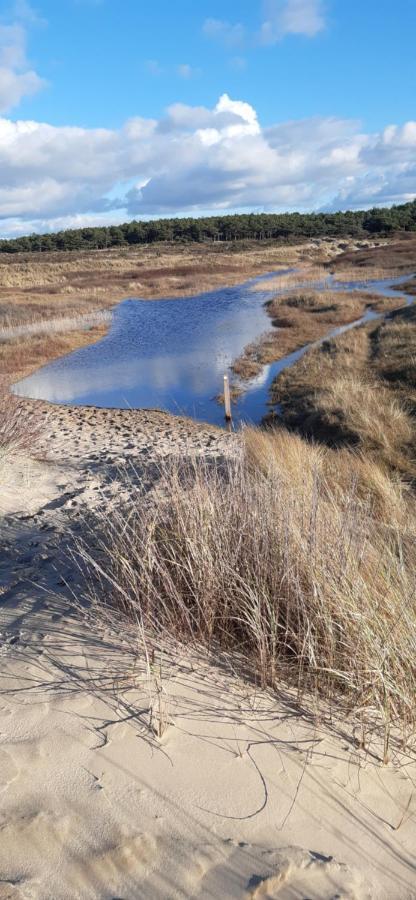 Zilvermeeuw Bergen aan Zee Esterno foto