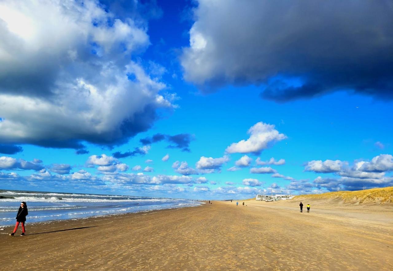 Zilvermeeuw Bergen aan Zee Esterno foto
