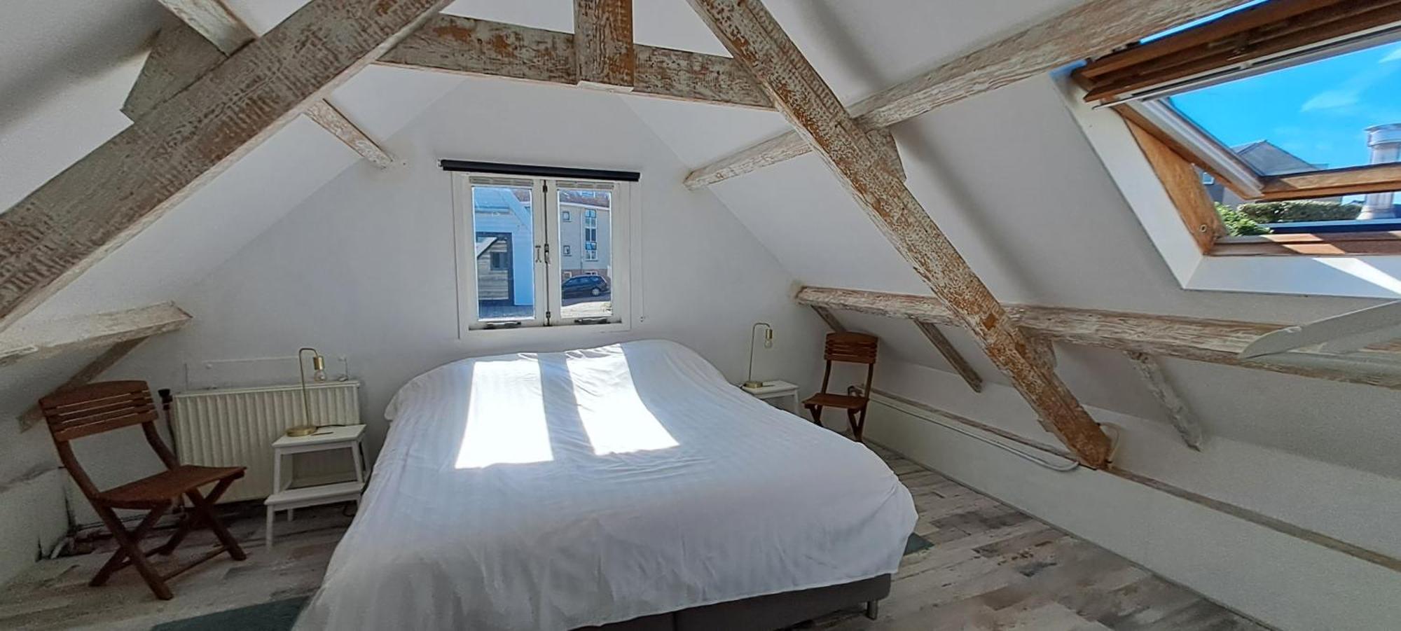 Zilvermeeuw Bergen aan Zee Esterno foto
