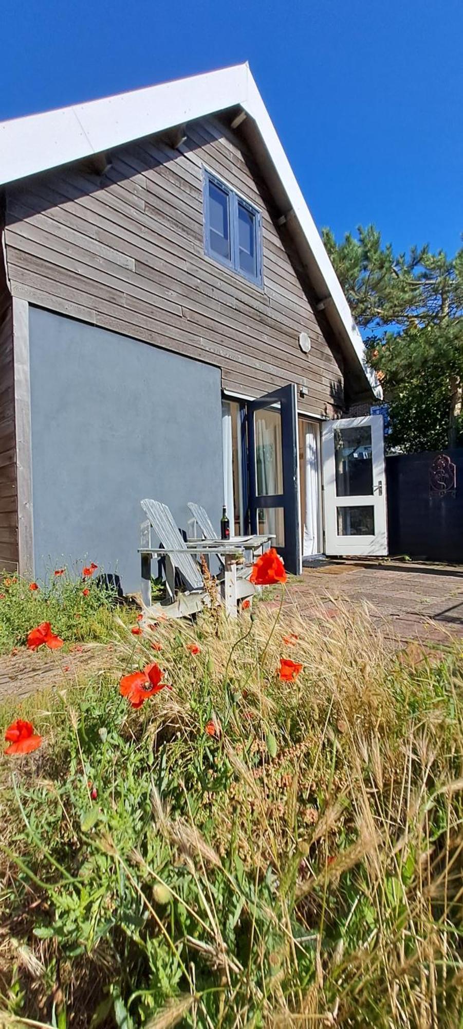 Zilvermeeuw Bergen aan Zee Esterno foto