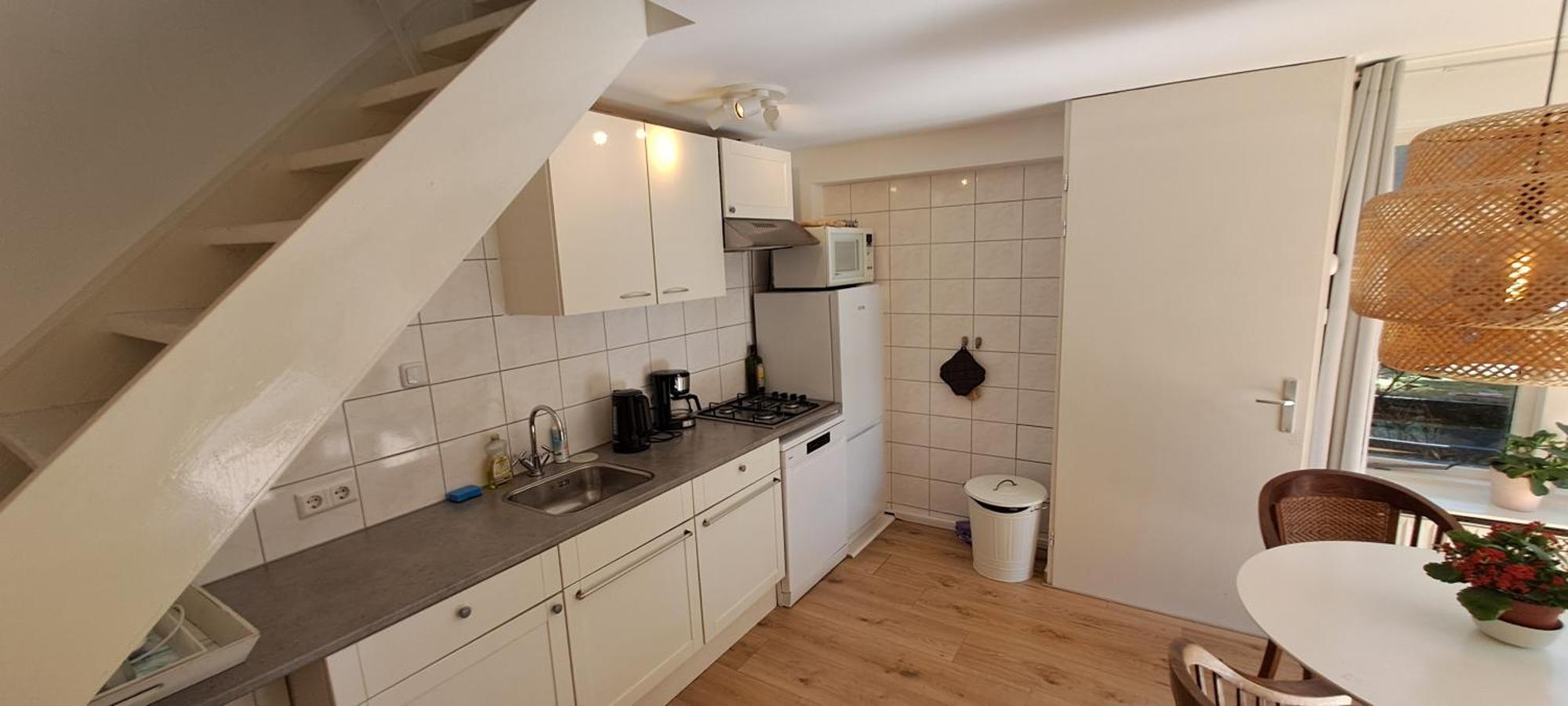 Zilvermeeuw Bergen aan Zee Esterno foto